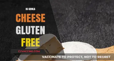 Is Gehls Cheese Gluten-Free? A Comprehensive Guide for Cheese Lovers