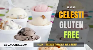 Is Gelati Celesti Gluten-Free? Discover the Delicious Truth Here