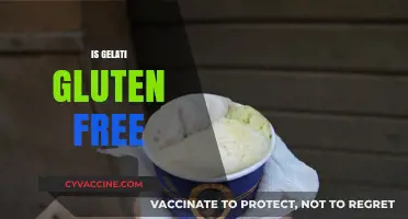 Is Gelati Gluten-Free? Exploring Ingredients and Safe Options