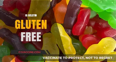 Is Gelatin Gluten-Free? Unraveling the Truth for Dietary Needs