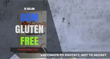 Is Gellan Gum Gluten-Free? Unraveling the Truth for Celiacs