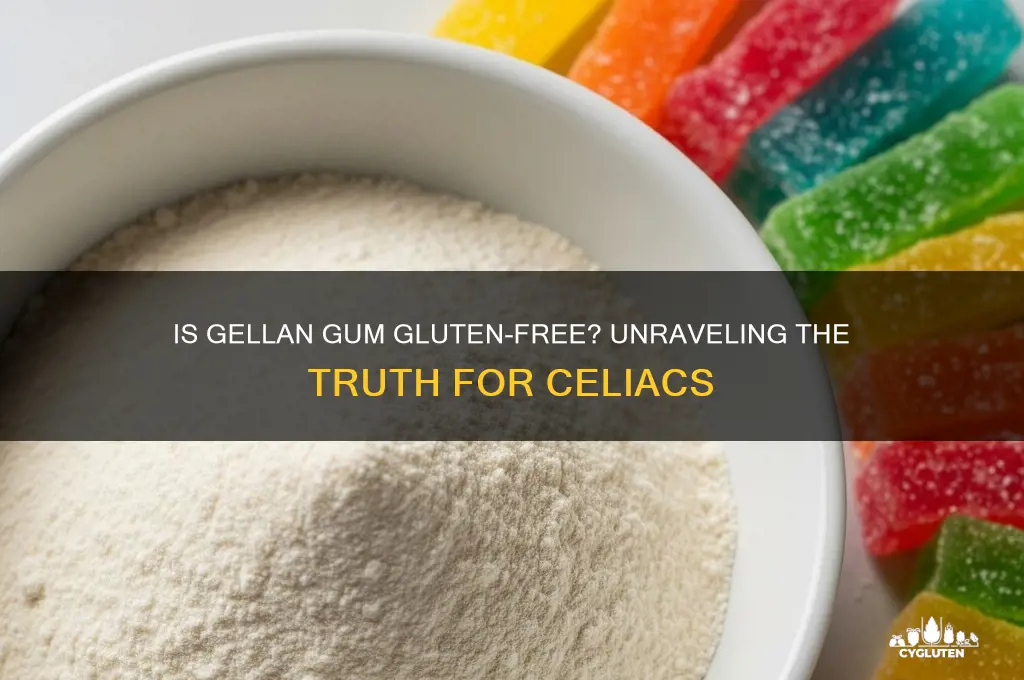 is gellan gum gluten free