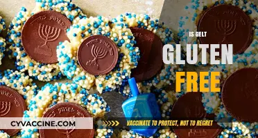 Is Gelt Gluten-Free? Unwrapping the Truth About This Treat
