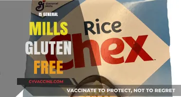 Is General Mills Gluten-Free? Exploring Their Product Options and Safety