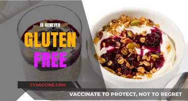 Is Genever Gluten-Free? Uncovering the Truth About This Spirit