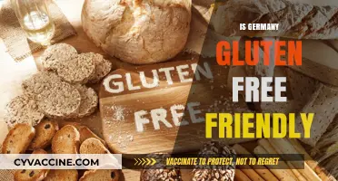Exploring Germany: A Gluten-Free Traveler's Guide to Delicious Options