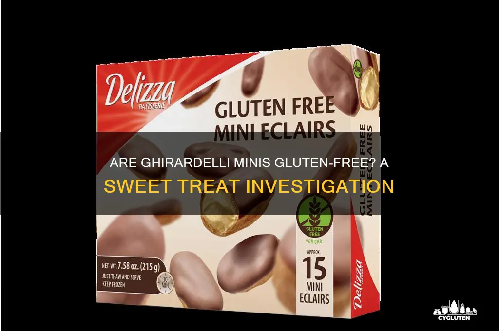 is ghirardelli minis gluten free