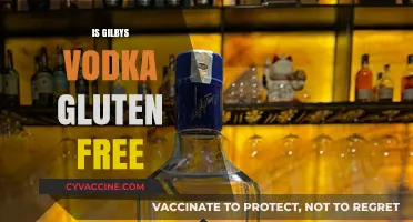 Is Gilbys Vodka Gluten-Free? A Comprehensive Guide for Celiacs