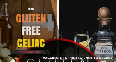 Is Gin Gluten-Free? A Celiac's Guide to Safe Drinking