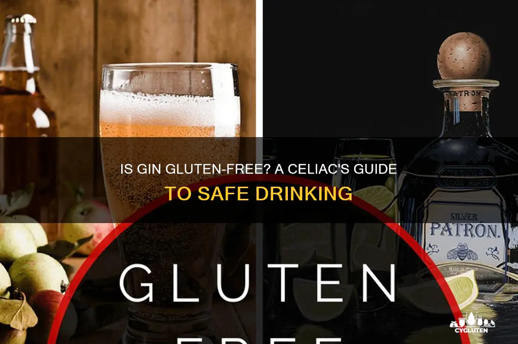 is gin gluten free celiac