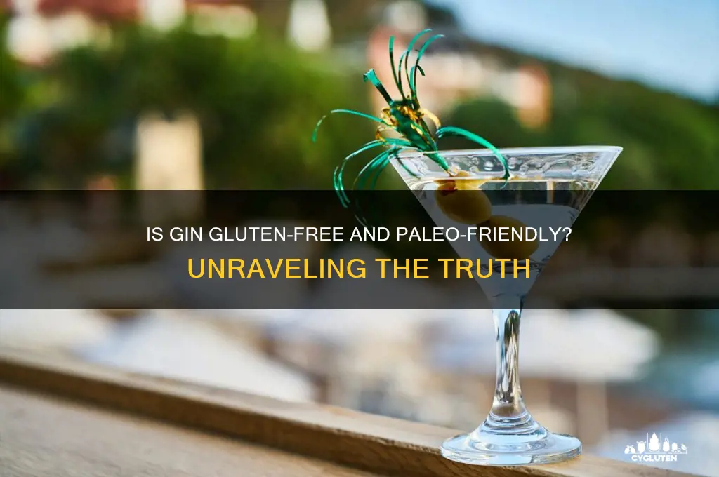 is gin gluten free paleo