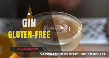 Is Gin Gluten-Free? Uncovering the Truth for Celiac Drinkers