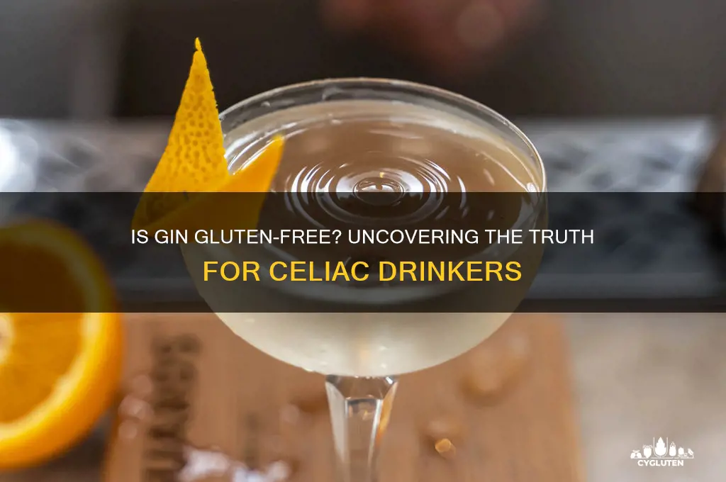 is gin gluten-free