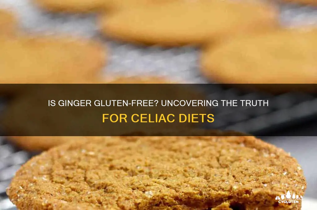 is ginger gluten-free
