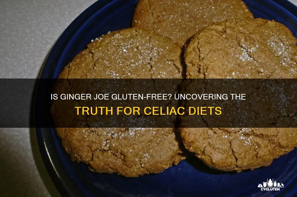 is ginger joe gluten free