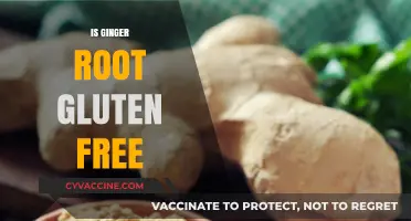 Is Ginger Root Gluten-Free? A Comprehensive Guide to Dietary Safety