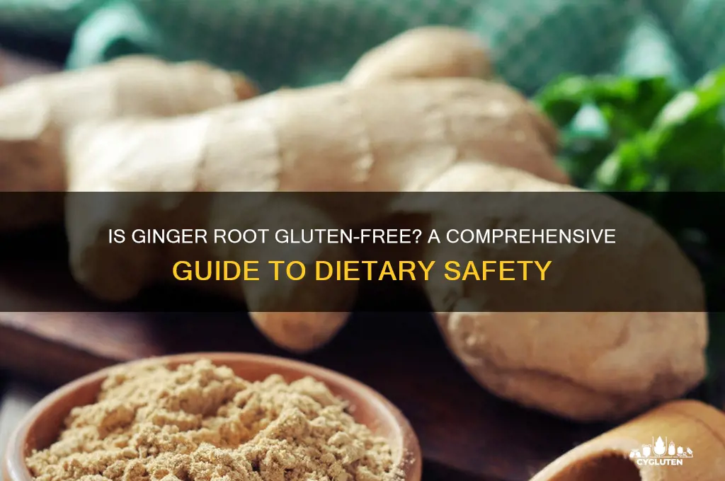 is ginger root gluten free
