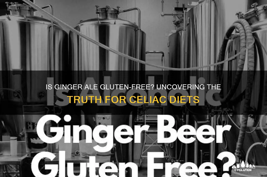 is gingerale gluten free