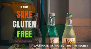 Is Ginjo Sake Gluten-Free? Exploring the Truth for Celiac Drinkers