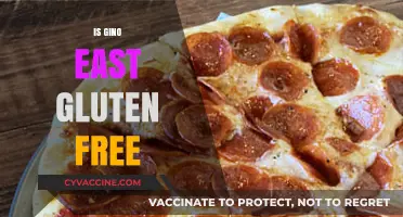 Is Gino's East Gluten-Free? Exploring Pizza Options for Celiac Diners