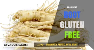 Is Ginseng Root Gluten-Free? A Comprehensive Guide for Dietary Needs