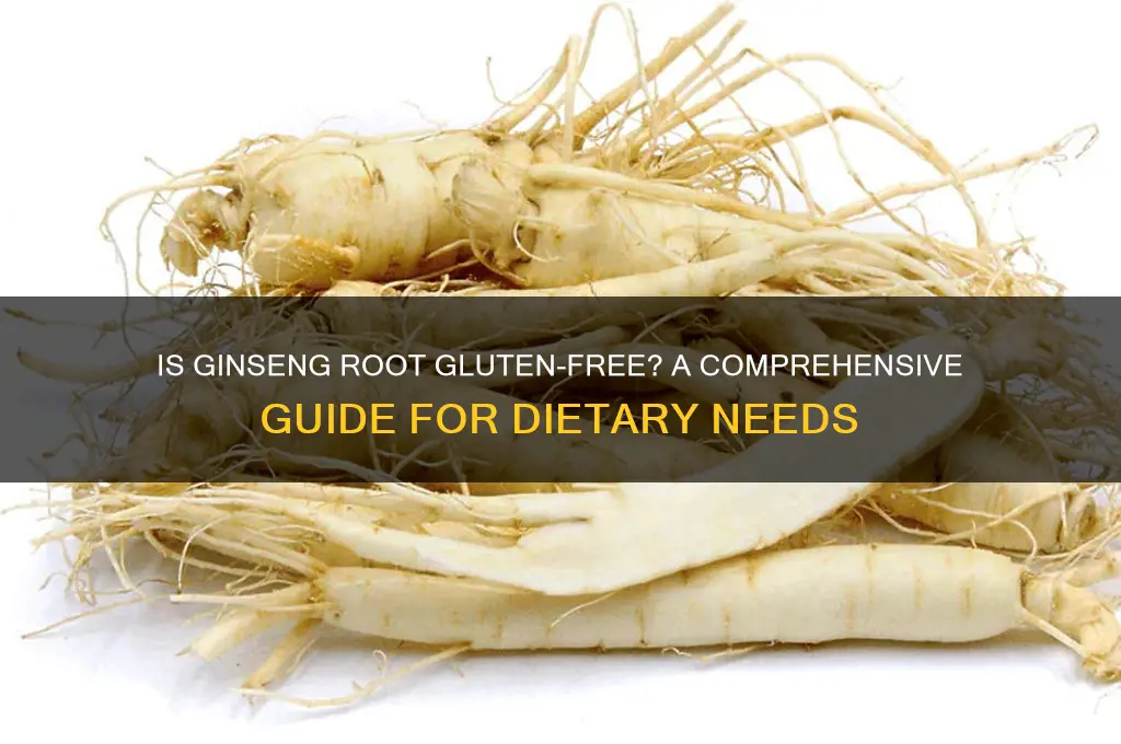 is ginseng root gluten free