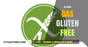 Is Gjavi Das Gluten-Free? Exploring Ingredients and Dietary Suitability