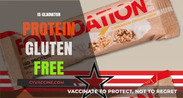 Is Gladiator Protein Gluten-Free? A Complete Dietary Breakdown