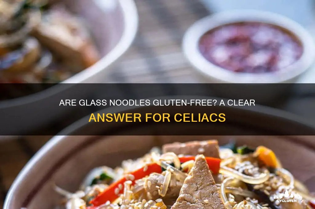 is glass noodle gluten free