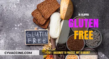 Is Glayva Gluten Free? A Comprehensive Guide for Drinkers