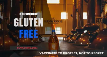 Is Glenmorangie Gluten-Free? Unveiling the Truth for Whiskey Lovers