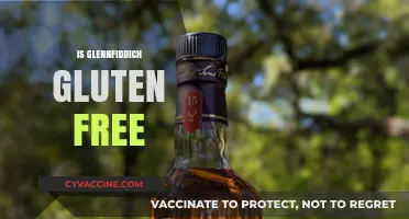 Is Glenfiddich Gluten-Free? Uncovering the Truth for Whiskey Lovers
