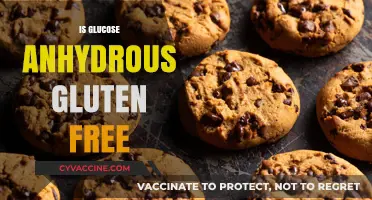 Is Glucose Anhydrous Gluten-Free? Understanding Food Additives and Celiac Safety