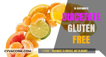 Is Glutamate Diacetate Gluten-Free? Understanding Food Additives and Celiac Safety