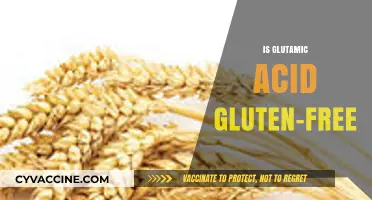 Is Glutamic Acid Gluten-Free? Unraveling the Facts for Celiac Diets