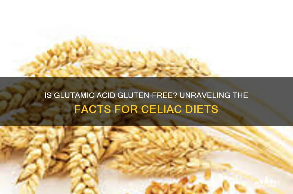 is glutamic acid gluten-free