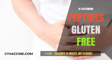Is Glutamine Peptides Gluten Free? A Clear Answer Revealed