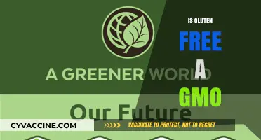 Gluten-Free vs. GMO: Understanding the Difference and Connection