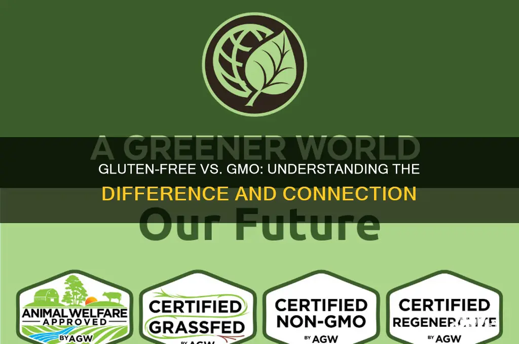 is gluten free a gmo