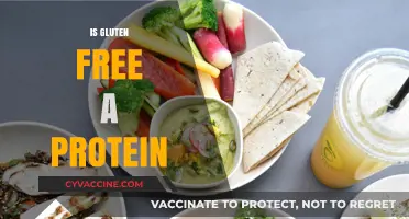 Is Gluten-Free a Protein? Unraveling the Myth and Facts