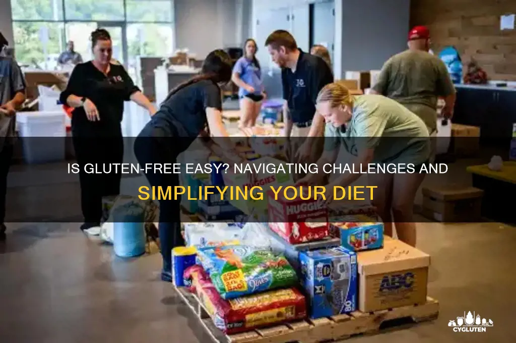 is gluten free easy