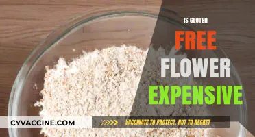 Is Gluten-Free Flour Expensive? Cost Analysis and Budget Tips