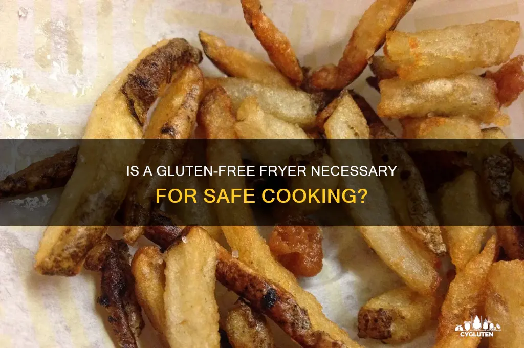 is gluten free fryer necessary