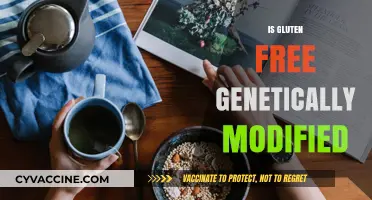 Gluten-Free and GMOs: Unraveling the Genetic Modification Connection