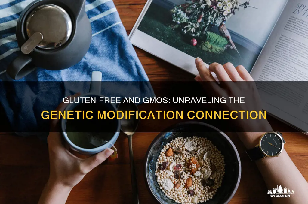 is gluten free genetically modified