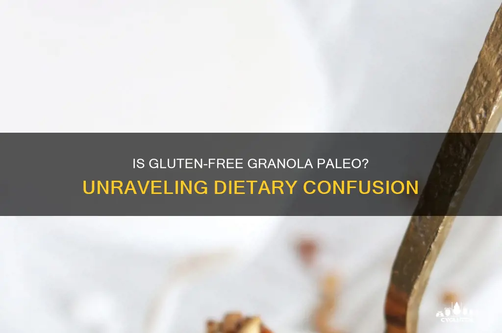 is gluten free granola paleo
