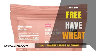 Gluten-Free vs. Wheat: Understanding the Difference and Ingredients