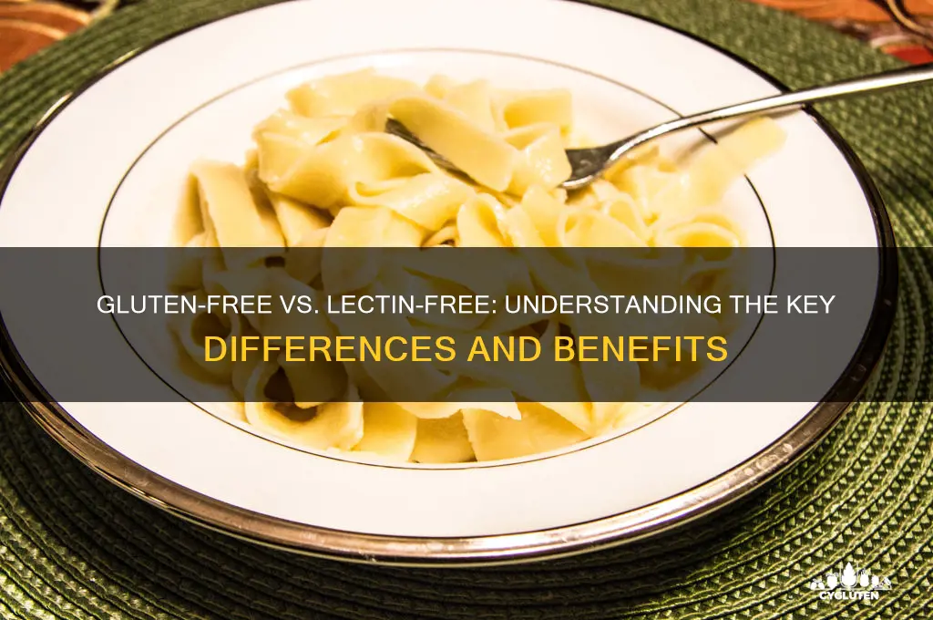is gluten free lectin free