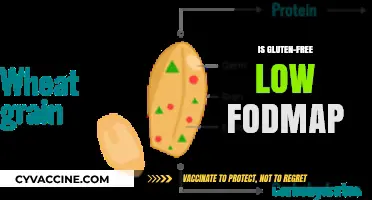 Gluten-Free vs. Low FODMAP: Understanding the Key Differences