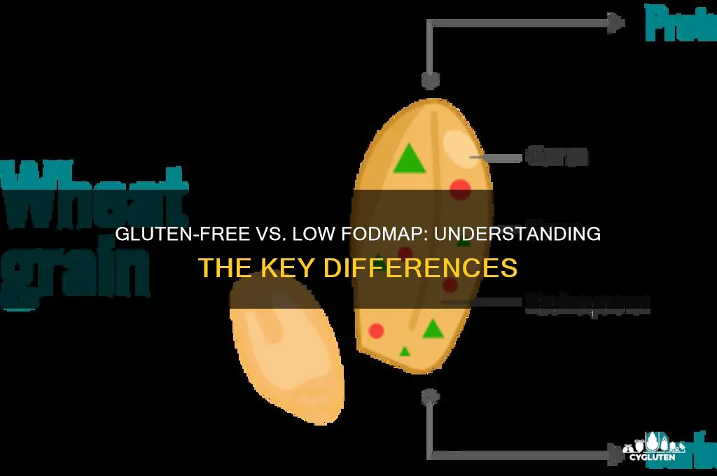 is gluten-free low fodmap